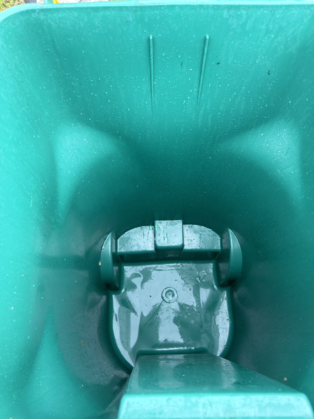 Trash bin after cleaning